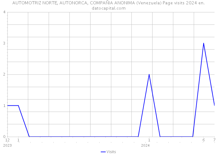 AUTOMOTRIZ NORTE, AUTONORCA, COMPAÑIA ANONIMA (Venezuela) Page visits 2024 