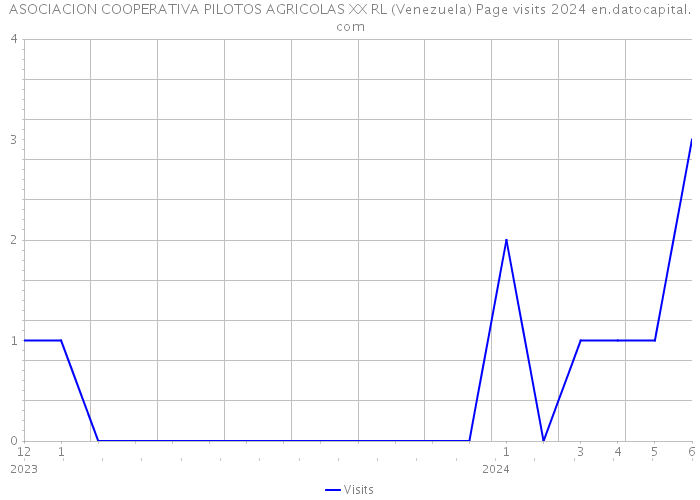 ASOCIACION COOPERATIVA PILOTOS AGRICOLAS XX RL (Venezuela) Page visits 2024 