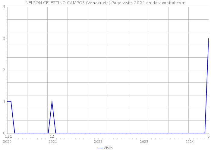 NELSON CELESTINO CAMPOS (Venezuela) Page visits 2024 