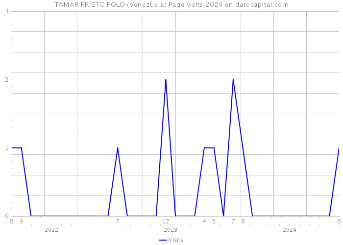 TAMAR PRIETO POLO (Venezuela) Page visits 2024 