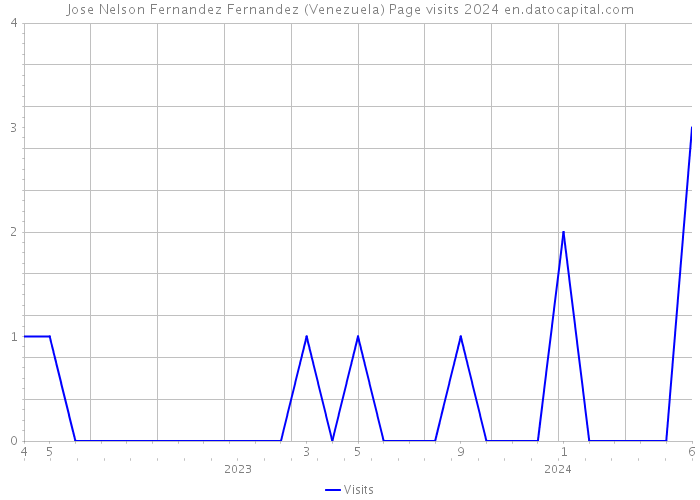 Jose Nelson Fernandez Fernandez (Venezuela) Page visits 2024 
