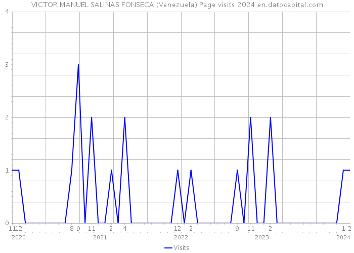 VICTOR MANUEL SALINAS FONSECA (Venezuela) Page visits 2024 