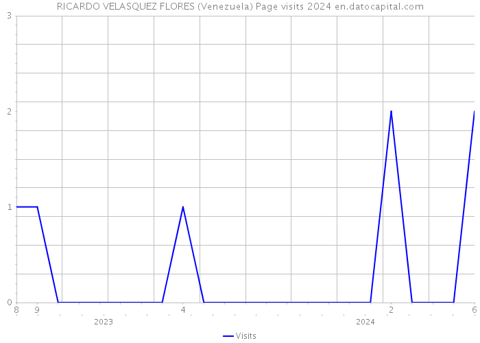 RICARDO VELASQUEZ FLORES (Venezuela) Page visits 2024 