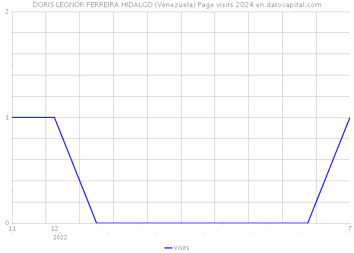 DORIS LEONOR FERREIRA HIDALGO (Venezuela) Page visits 2024 