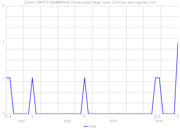 JUAN C BRITO ZAMBRANO (Venezuela) Page visits 2024 