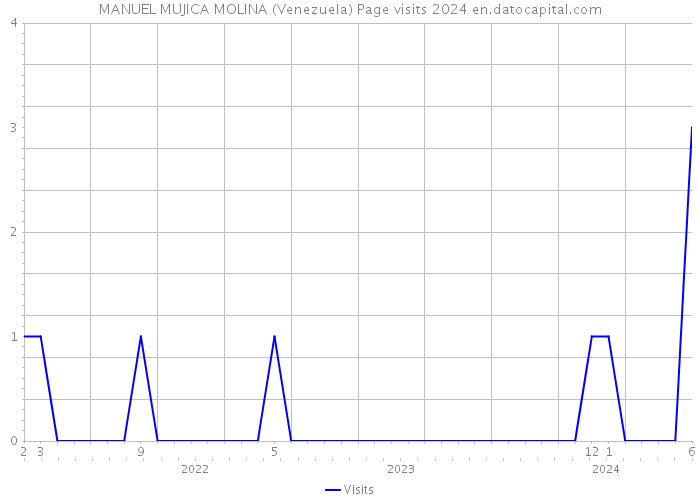MANUEL MUJICA MOLINA (Venezuela) Page visits 2024 