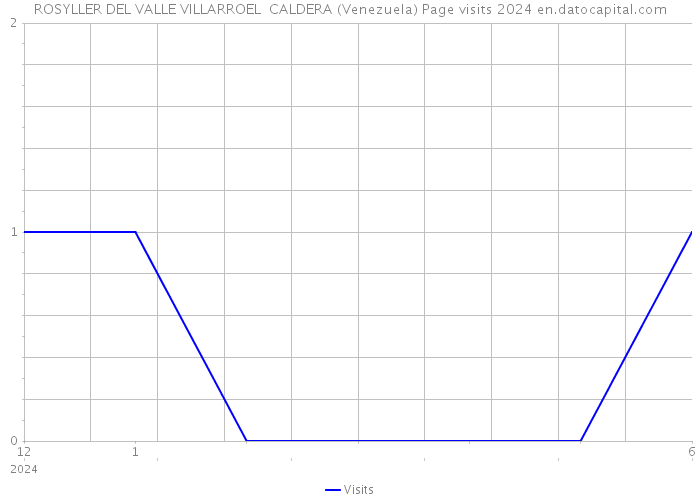 ROSYLLER DEL VALLE VILLARROEL CALDERA (Venezuela) Page visits 2024 
