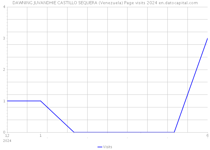 DAWNING JUVANDHIE CASTILLO SEQUERA (Venezuela) Page visits 2024 