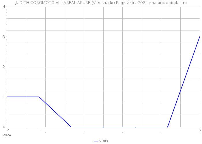 JUDITH COROMOTO VILLAREAL APURE (Venezuela) Page visits 2024 