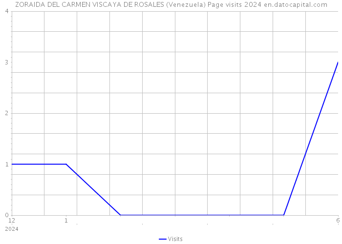 ZORAIDA DEL CARMEN VISCAYA DE ROSALES (Venezuela) Page visits 2024 