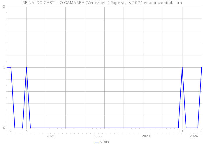 REINALDO CASTILLO GAMARRA (Venezuela) Page visits 2024 