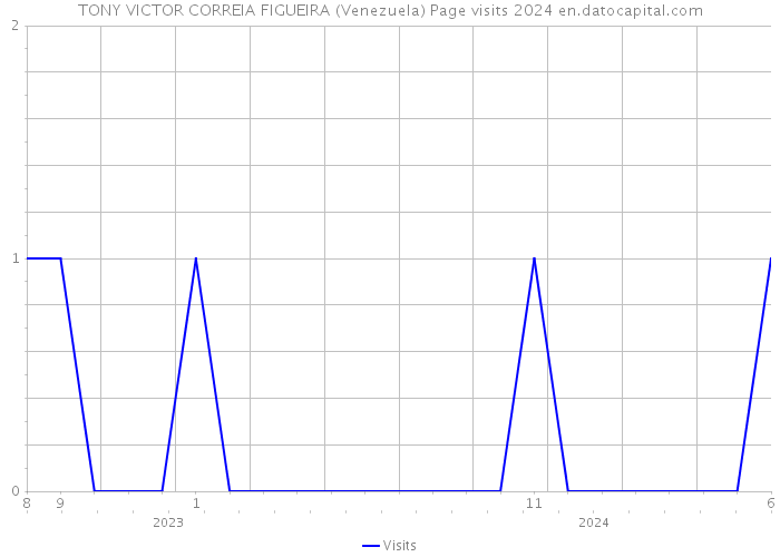 TONY VICTOR CORREIA FIGUEIRA (Venezuela) Page visits 2024 