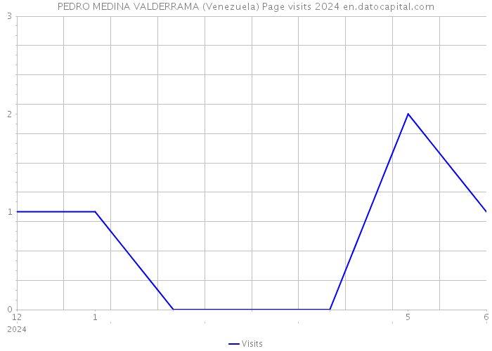 PEDRO MEDINA VALDERRAMA (Venezuela) Page visits 2024 