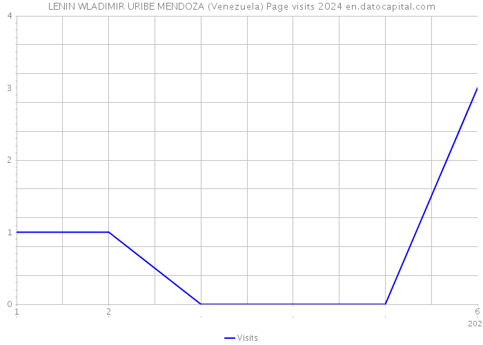 LENIN WLADIMIR URIBE MENDOZA (Venezuela) Page visits 2024 