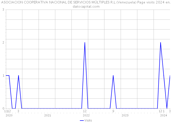 ASOCIACION COOPERATIVA NACIONAL DE SERVICIOS MÚLTIPLES R.L (Venezuela) Page visits 2024 