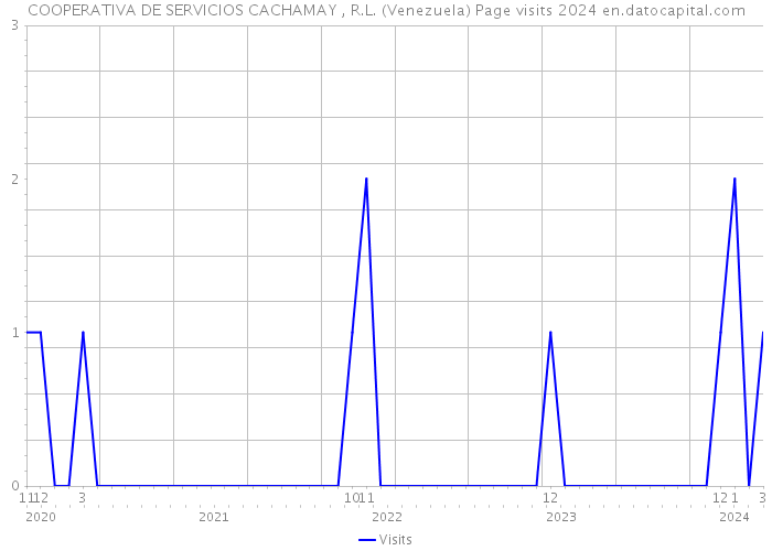 COOPERATIVA DE SERVICIOS CACHAMAY , R.L. (Venezuela) Page visits 2024 