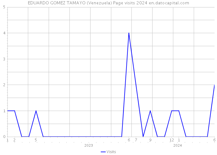 EDUARDO GOMEZ TAMAYO (Venezuela) Page visits 2024 