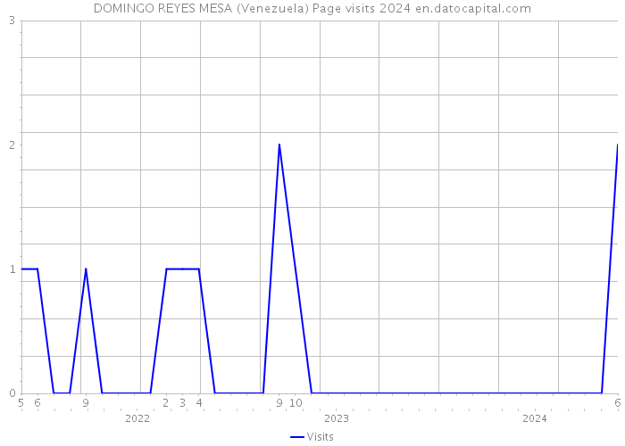 DOMINGO REYES MESA (Venezuela) Page visits 2024 