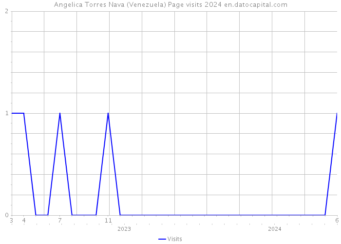 Angelica Torres Nava (Venezuela) Page visits 2024 
