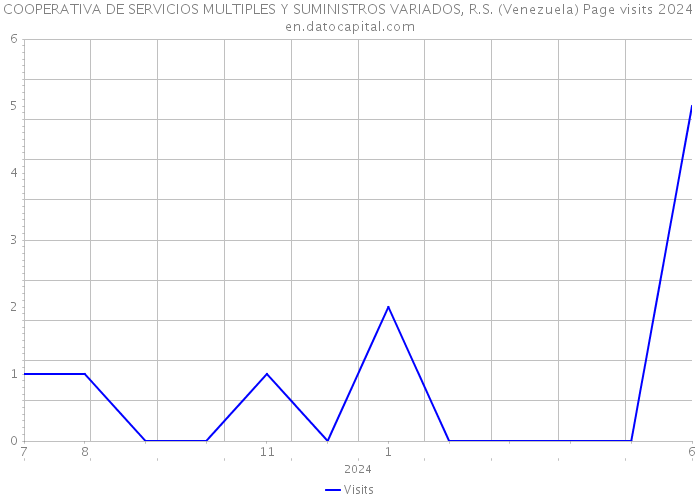 COOPERATIVA DE SERVICIOS MULTIPLES Y SUMINISTROS VARIADOS, R.S. (Venezuela) Page visits 2024 