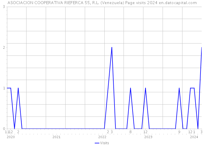 ASOCIACION COOPERATIVA RIEFERCA 55, R.L. (Venezuela) Page visits 2024 