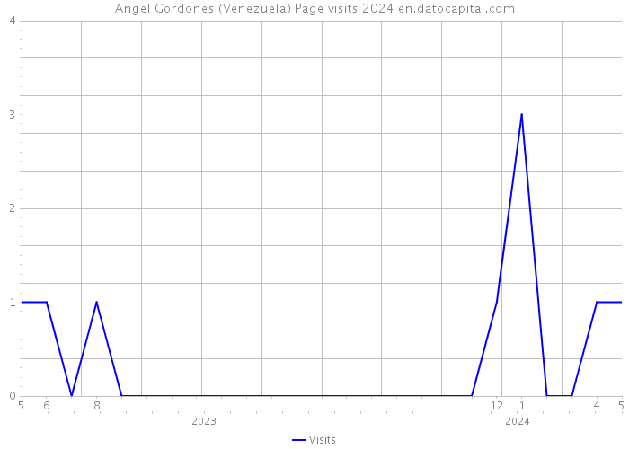 Angel Gordones (Venezuela) Page visits 2024 