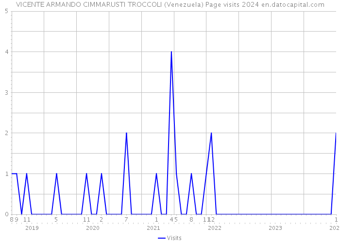 VICENTE ARMANDO CIMMARUSTI TROCCOLI (Venezuela) Page visits 2024 