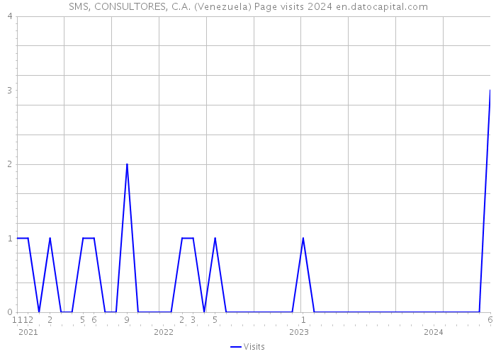SMS, CONSULTORES, C.A. (Venezuela) Page visits 2024 