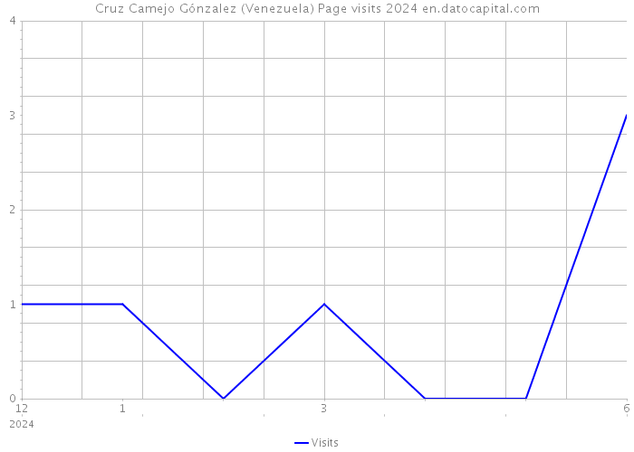 Cruz Camejo Gónzalez (Venezuela) Page visits 2024 