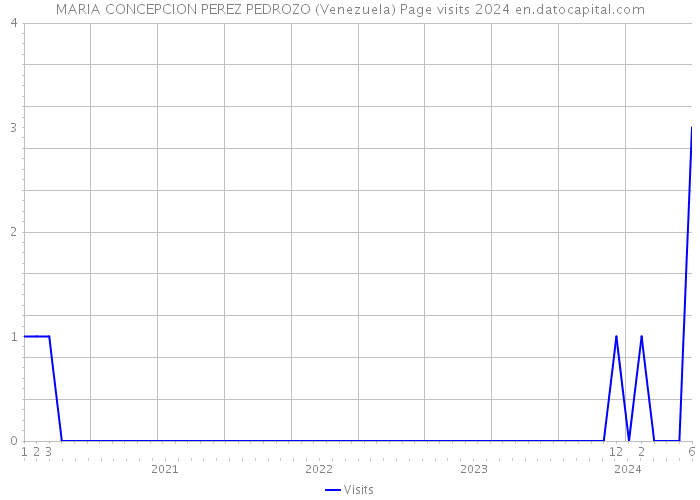 MARIA CONCEPCION PEREZ PEDROZO (Venezuela) Page visits 2024 
