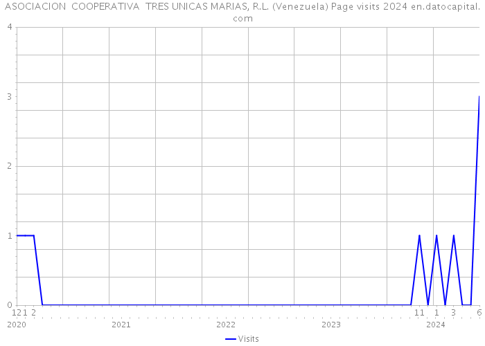 ASOCIACION COOPERATIVA TRES UNICAS MARIAS, R.L. (Venezuela) Page visits 2024 