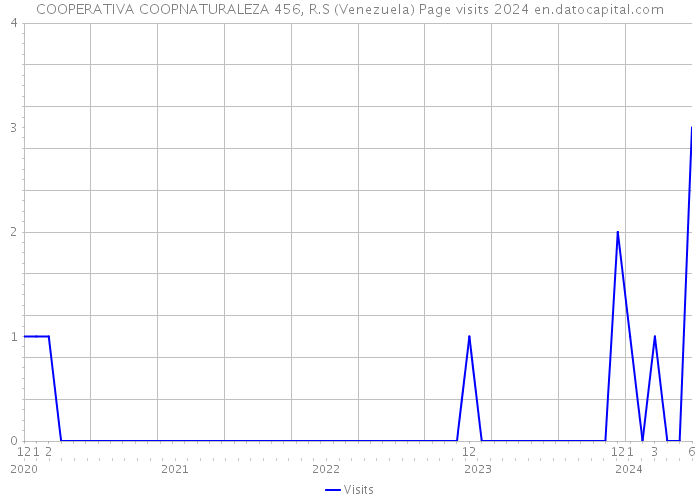 COOPERATIVA COOPNATURALEZA 456, R.S (Venezuela) Page visits 2024 