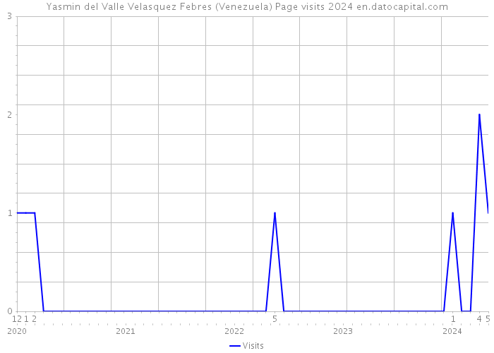 Yasmin del Valle Velasquez Febres (Venezuela) Page visits 2024 