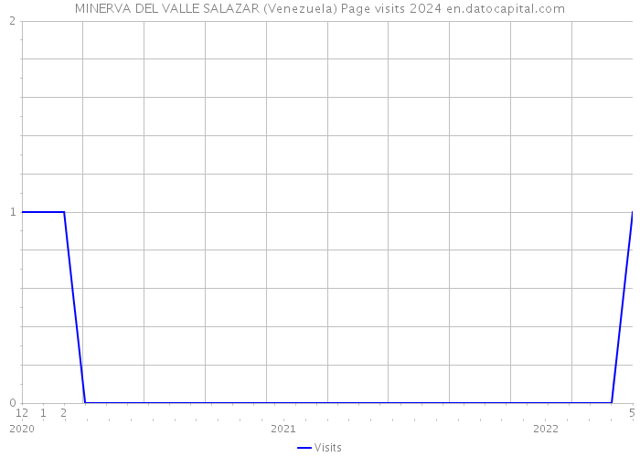 MINERVA DEL VALLE SALAZAR (Venezuela) Page visits 2024 