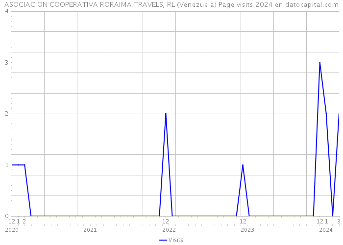 ASOCIACION COOPERATIVA RORAIMA TRAVELS, RL (Venezuela) Page visits 2024 