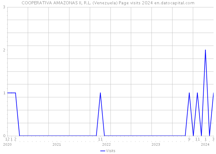 COOPERATIVA AMAZONAS II, R.L. (Venezuela) Page visits 2024 