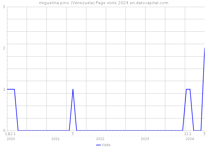 miguelina pino (Venezuela) Page visits 2024 