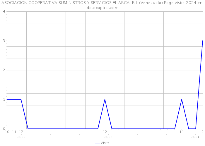 ASOCIACION COOPERATIVA SUMINISTROS Y SERVICIOS EL ARCA, R.L (Venezuela) Page visits 2024 