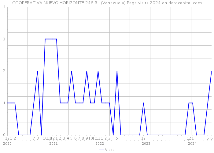 COOPERATIVA NUEVO HORIZONTE 246 RL (Venezuela) Page visits 2024 