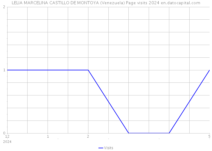 LELIA MARCELINA CASTILLO DE MONTOYA (Venezuela) Page visits 2024 