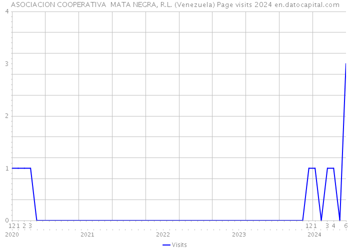 ASOCIACION COOPERATIVA MATA NEGRA, R.L. (Venezuela) Page visits 2024 