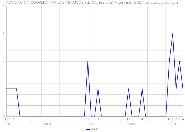 ASOCIACION COOPERATIVA LOS ARAUCOS R.L. (Venezuela) Page visits 2024 