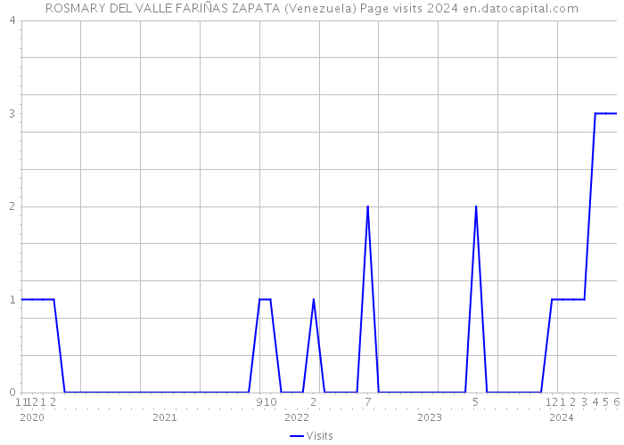 ROSMARY DEL VALLE FARIÑAS ZAPATA (Venezuela) Page visits 2024 