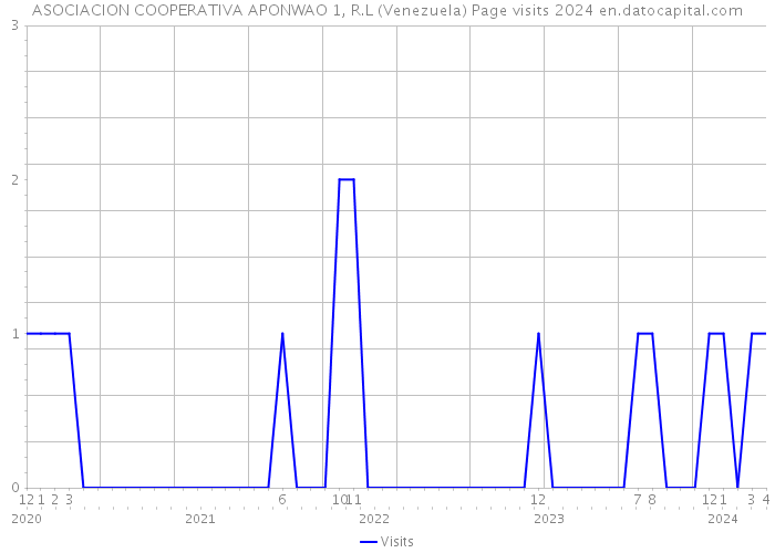 ASOCIACION COOPERATIVA APONWAO 1, R.L (Venezuela) Page visits 2024 