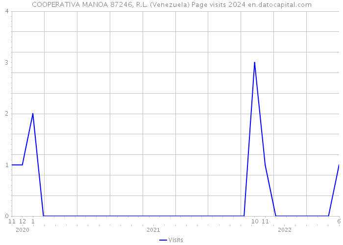 COOPERATIVA MANOA 87246, R.L. (Venezuela) Page visits 2024 