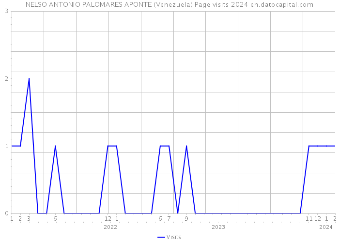 NELSO ANTONIO PALOMARES APONTE (Venezuela) Page visits 2024 