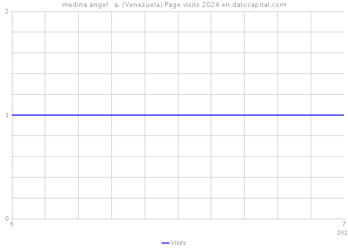 medina angel a. (Venezuela) Page visits 2024 