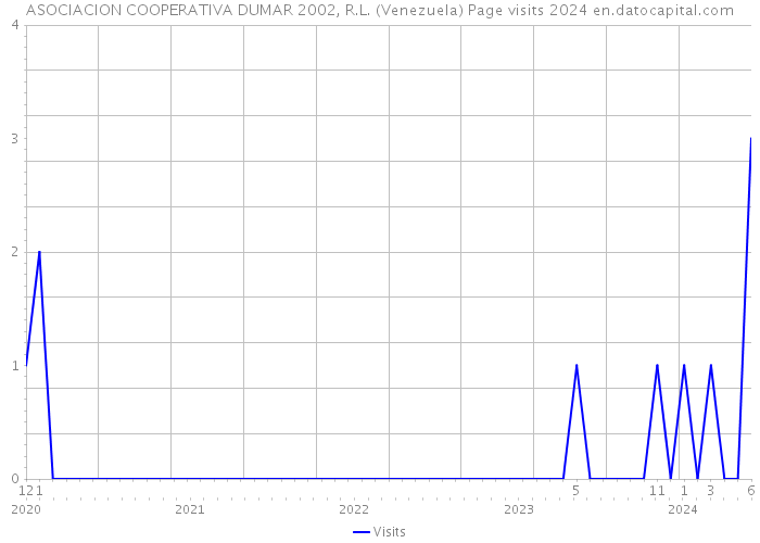 ASOCIACION COOPERATIVA DUMAR 2002, R.L. (Venezuela) Page visits 2024 