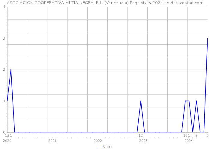 ASOCIACION COOPERATIVA MI TIA NEGRA, R.L. (Venezuela) Page visits 2024 
