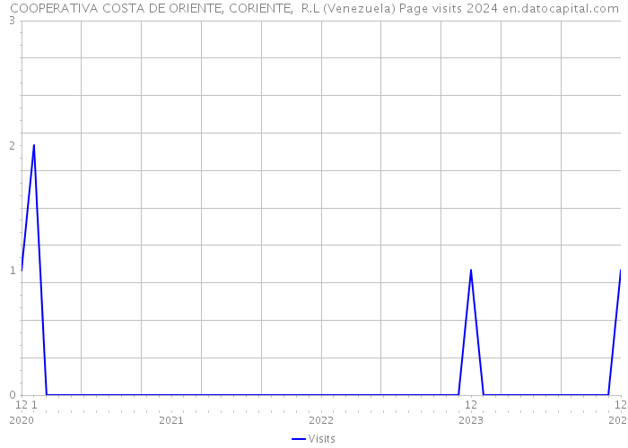 COOPERATIVA COSTA DE ORIENTE, CORIENTE, R.L (Venezuela) Page visits 2024 